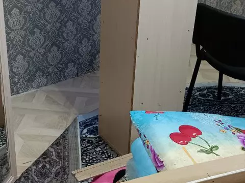 Разобрали квартиру, чтобы добраться до клопов!