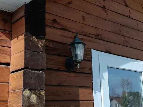 Осы в загородном доме