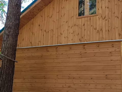 уничтожение жука вредителя древесины в деревянном доме 1