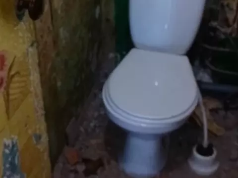 камни в туалете и тараканы
