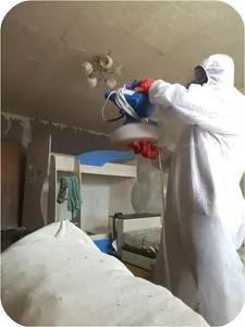 Тараканы уничтожены