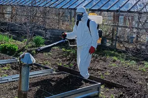 Открытие сезона акарицидных обработок: защитите территорию до начала активности клещей
