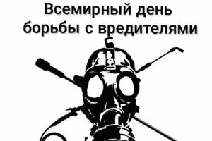 6 июня - Всемирный день борьбы с вредителями!