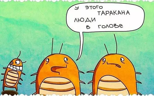 Минутка юмора на тему тараканов