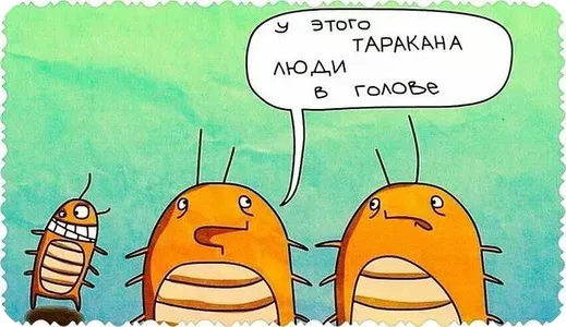 Минутка юмора на тему тараканов