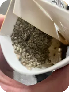 Уникальное явление